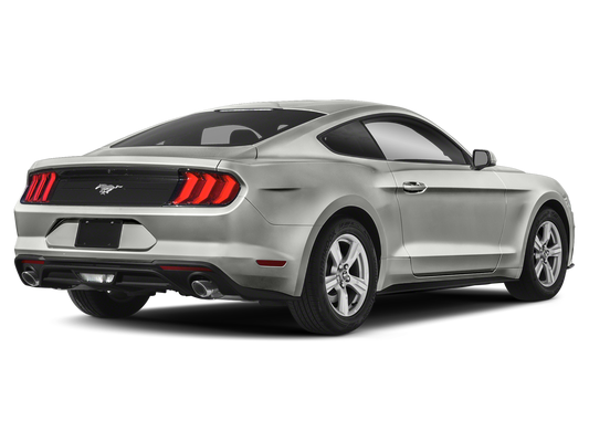 2021 Ford Mustang EcoBoost Fastback in Bridgewater, NJ - Open Road Automotive Group