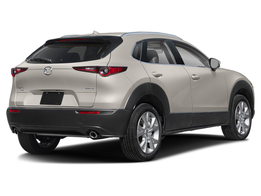 2024 Mazda Mazda CX-30 2.5 S Premium AWD in Bridgewater, NJ - Open Road Automotive Group