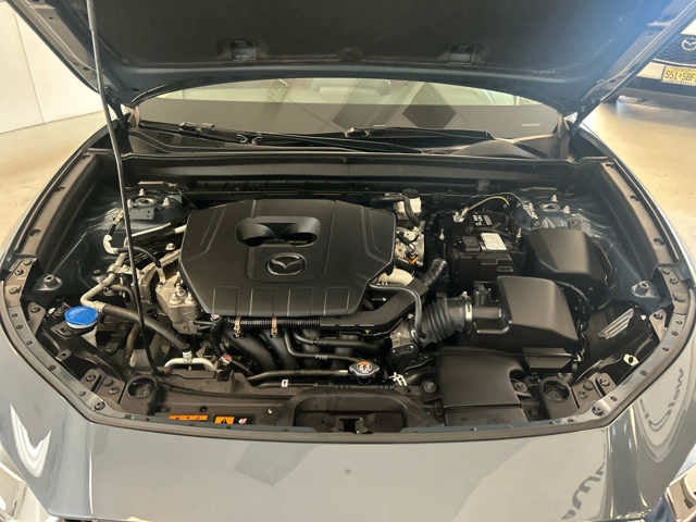 2024 Mazda Mazda CX-30 2.5 S Carbon Edition AWD