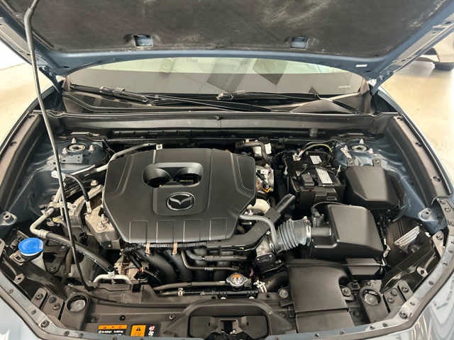 2024 Mazda Mazda CX-30 2.5 S Carbon Edition AWD