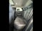 2024 Mazda Mazda CX-30 2.5 S Premium Package AWD