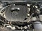2025 Mazda Mazda CX-50 2.5 S Premium Plus Package AWD
