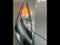 2013 Mazda MAZDA3 4dr Sdn Auto i Sport