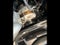 2026 Mazda MAZDA3 2.5 S Preferred FWD