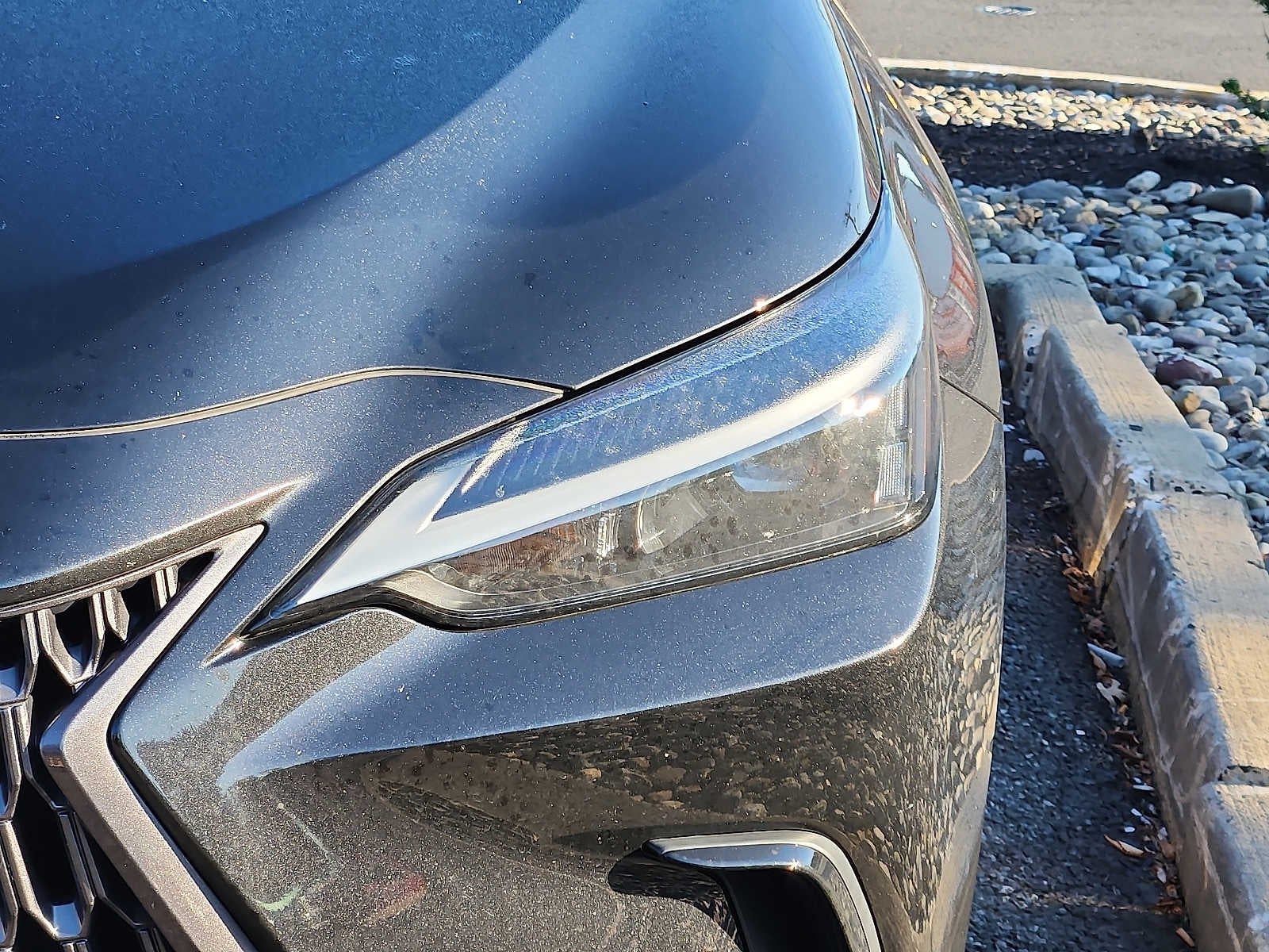2024 Lexus NX 350 