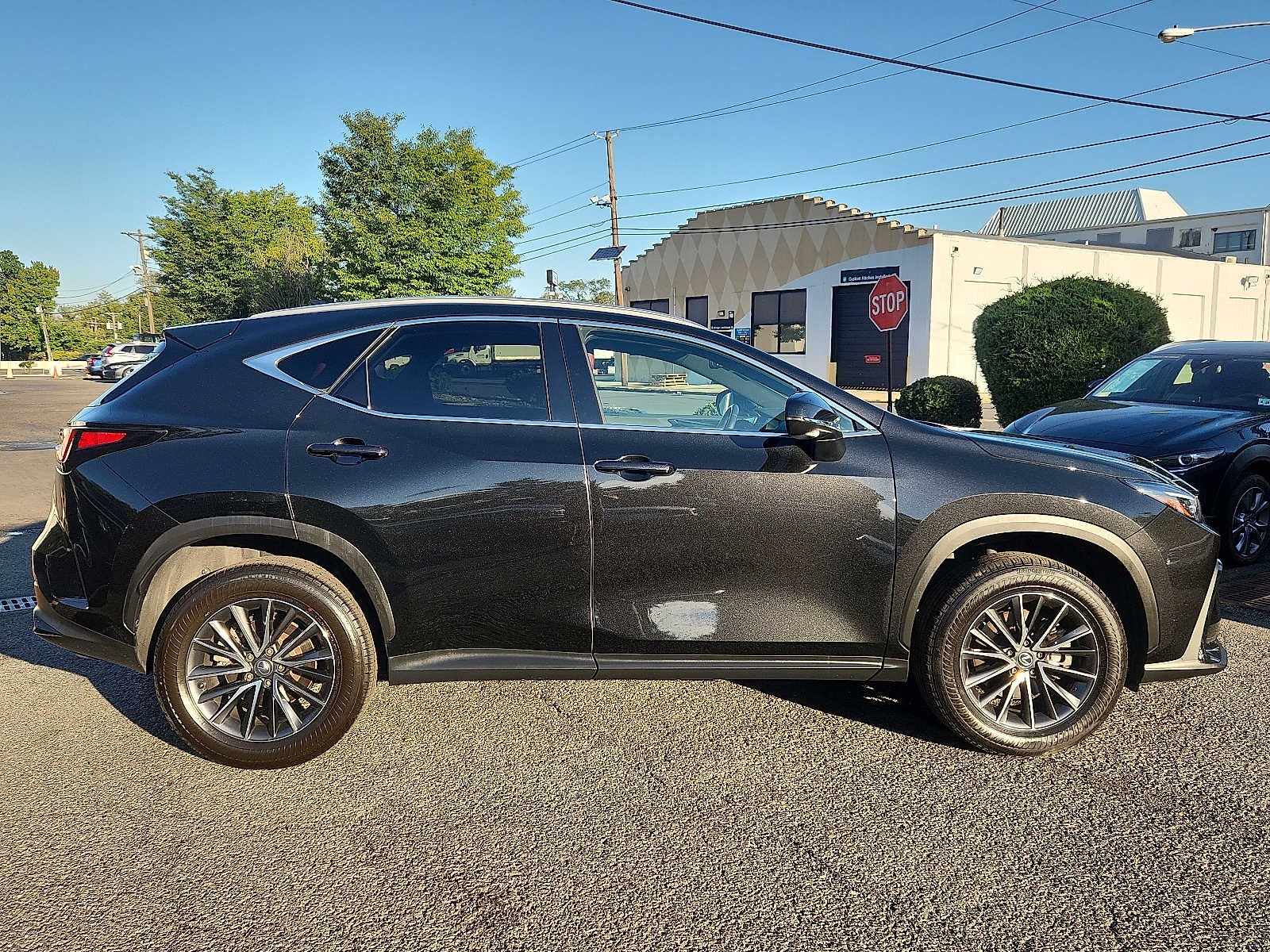 2024 Lexus NX 350 