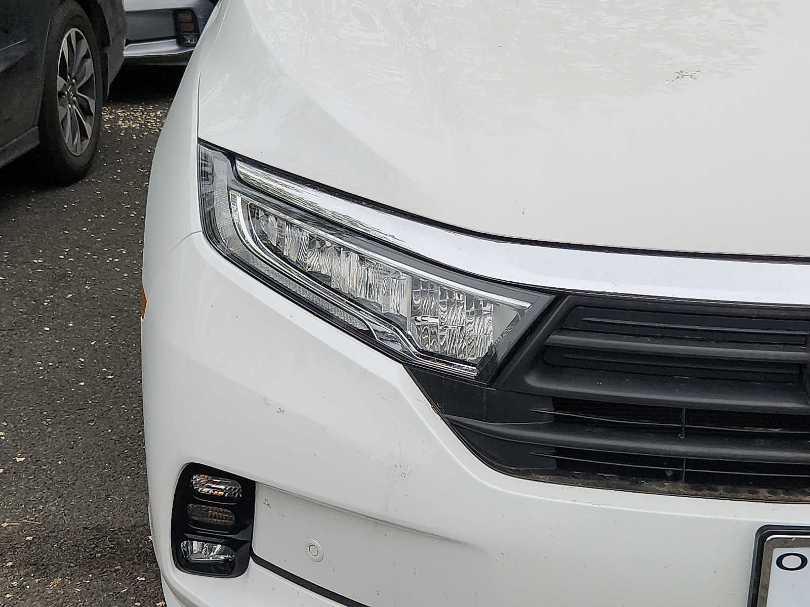 2023 Honda Odyssey Elite