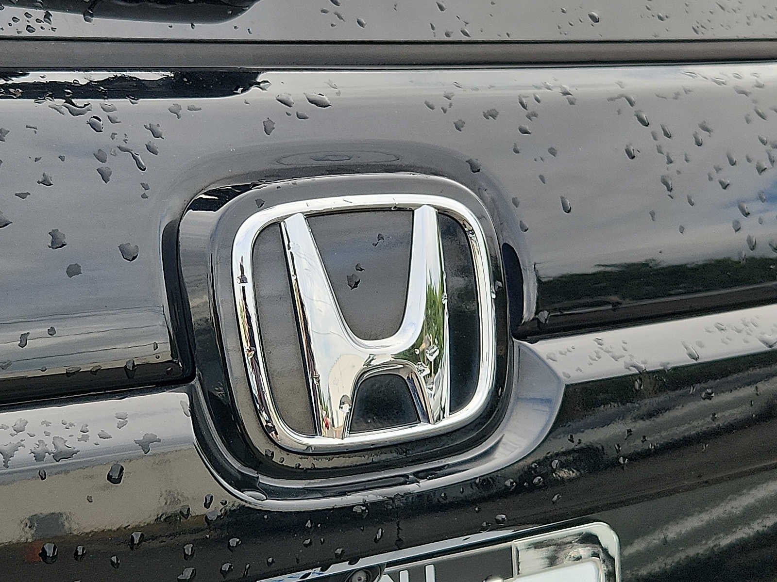 2023 Honda Passport Elite