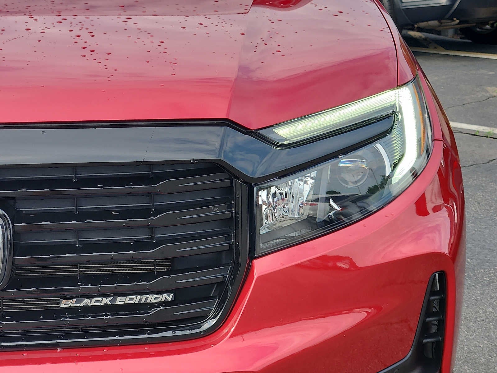 2024 Honda Passport Black Edition