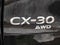 2025 Mazda Mazda CX-30 2.5 S Premium Package