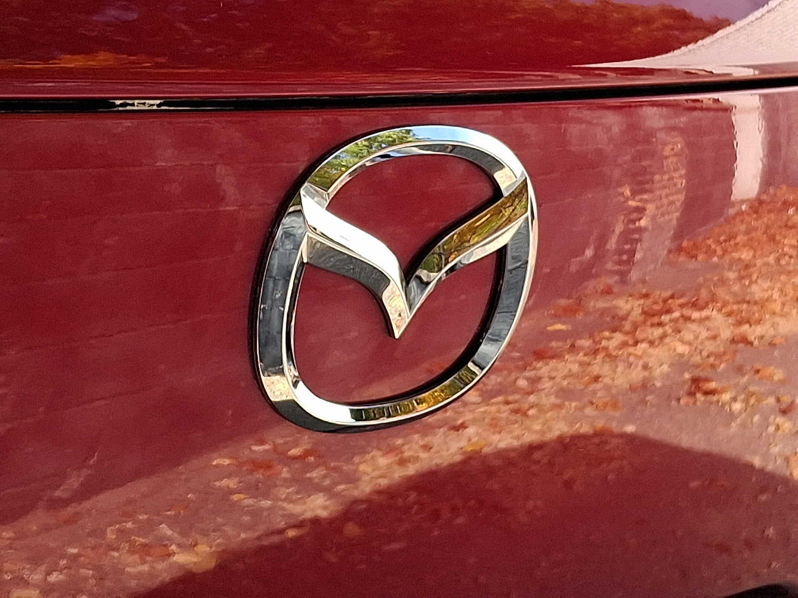 2024 Mazda Mazda CX-50 2.5 S Select Package