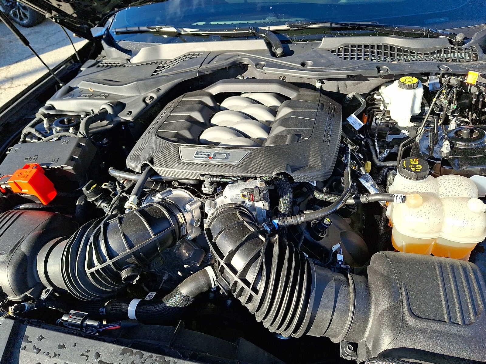 2024 Ford Mustang GT Premium Fastback