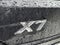 2026 BMW X7 xDrive40i Sports Activity Vehicle