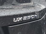 2019 Lexus UX UX 250h F SPORT AWD