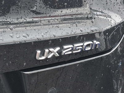 2019 Lexus UX UX 250h F SPORT AWD