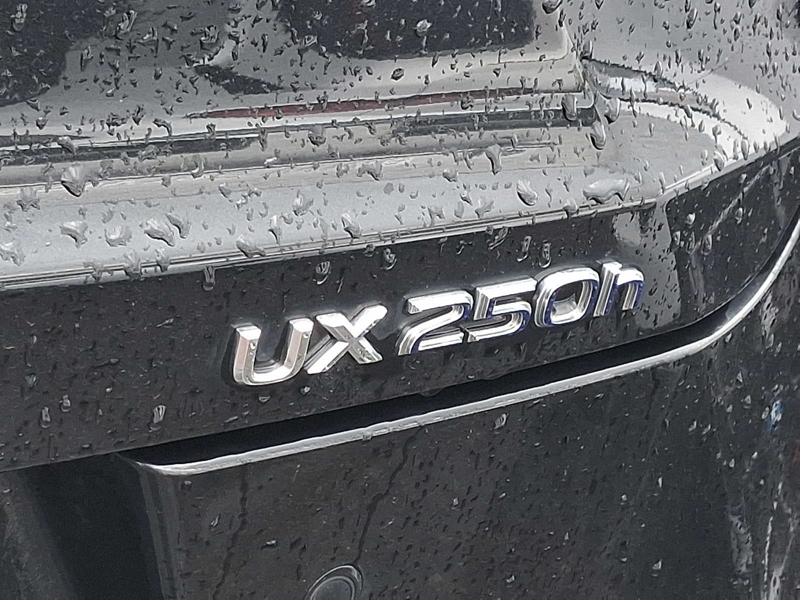 2019 Lexus UX UX 250h F SPORT AWD