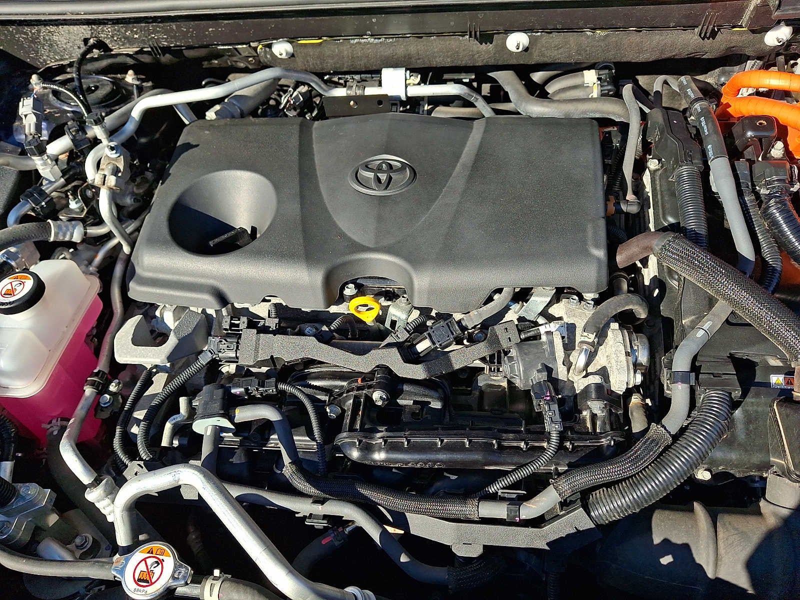 2024 Toyota RAV4 Prime XSE