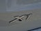 2027 BMW X1 xDrive28i Sports Activity Vehicle