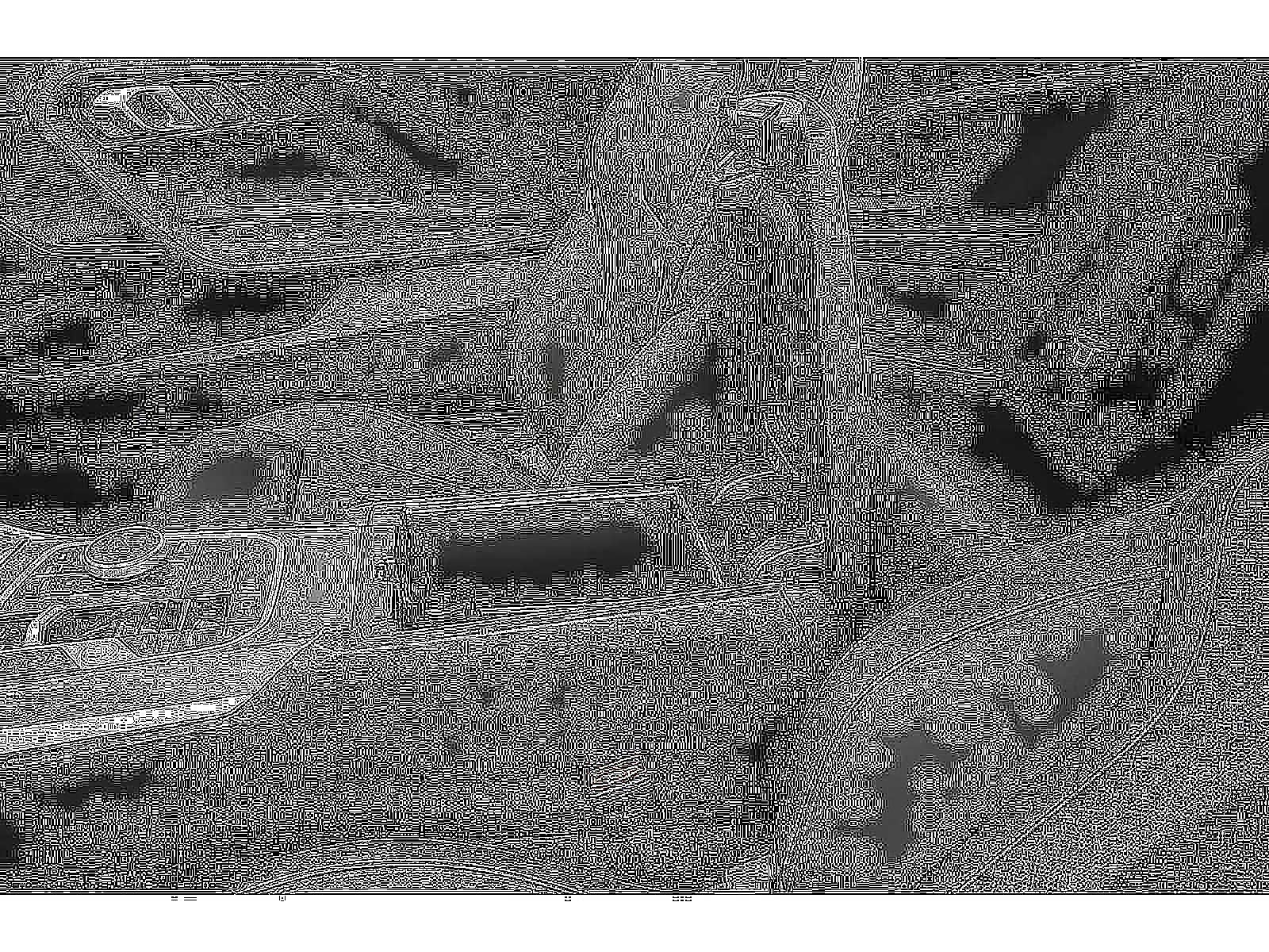 2026 BMW 2 Series 230i xDrive Coupe