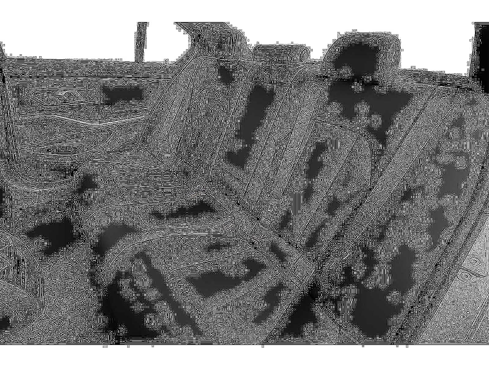 2026 BMW 3 Series 330i xDrive Sedan