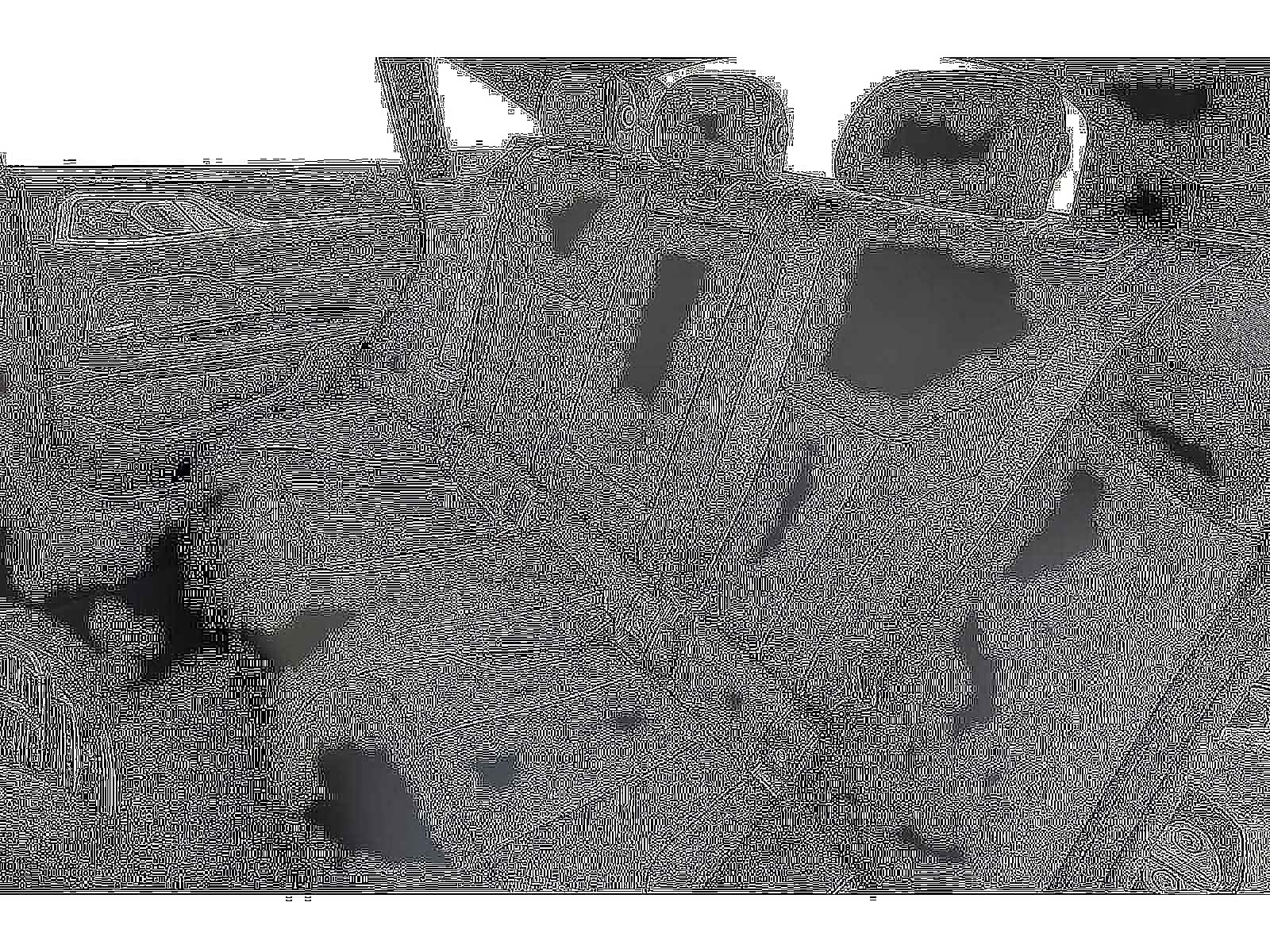 2026 BMW 4 Series 430i xDrive Gran Coupe