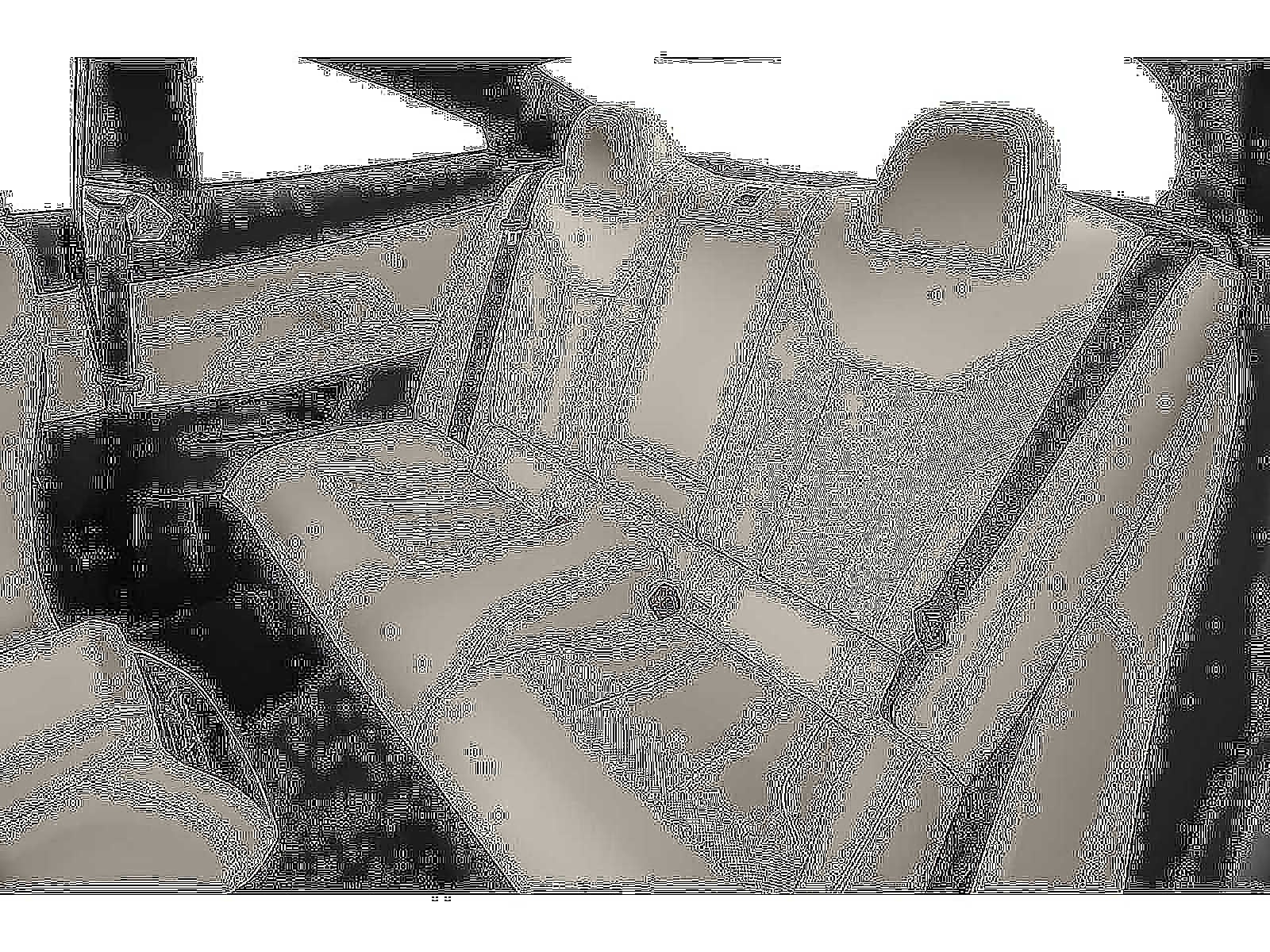 2026 BMW 4 Series M440i xDrive Coupe