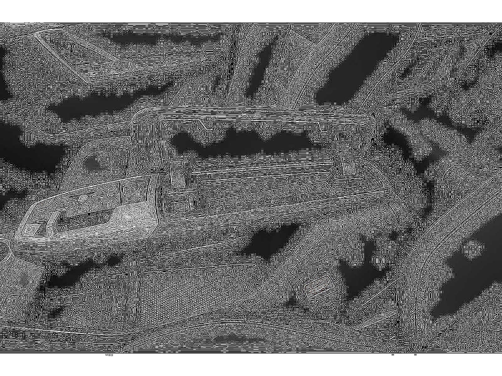 2026 BMW X2 xDrive28i Sports Activity Coupe