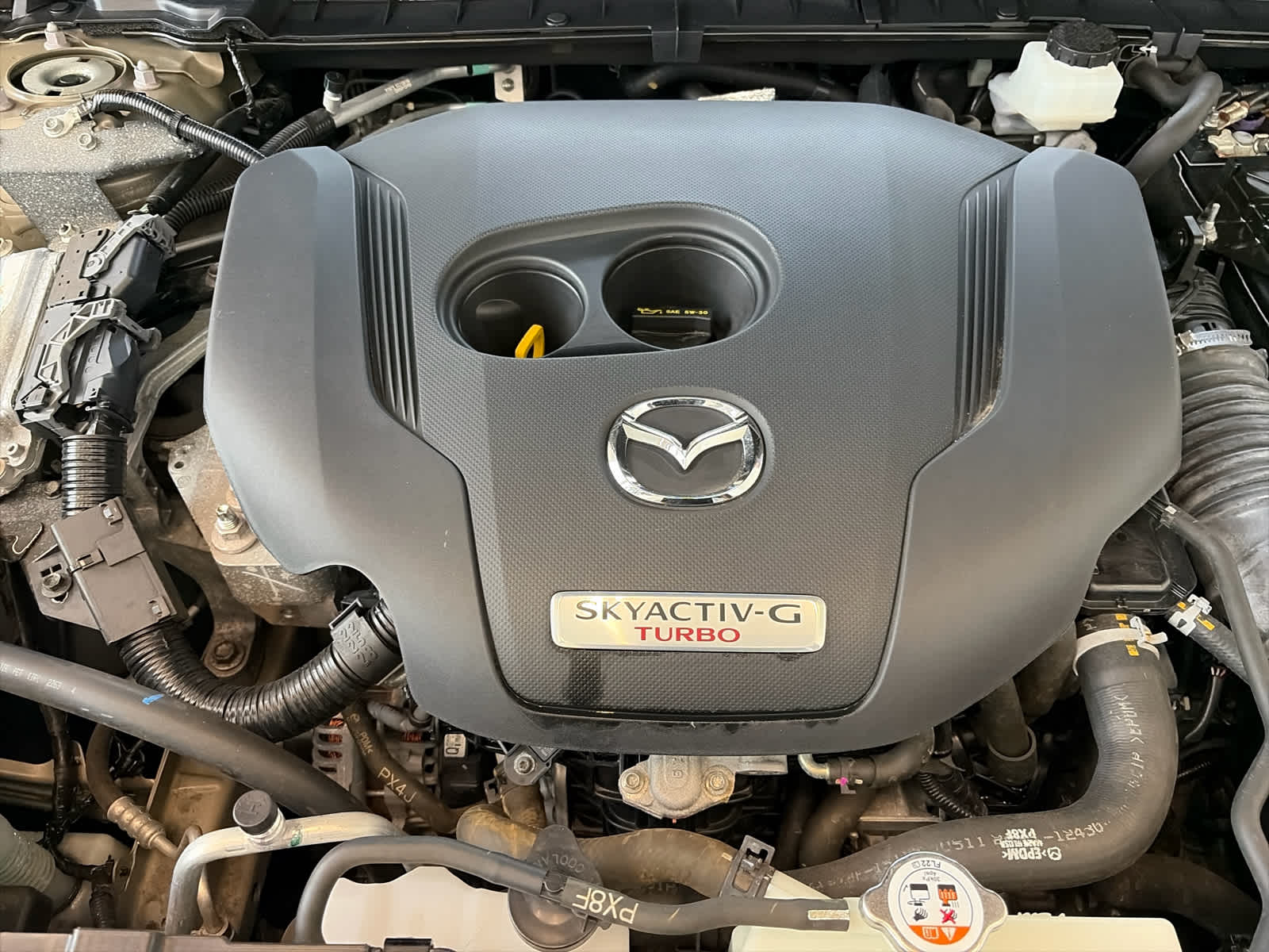 2024 Mazda Mazda CX-50 2.5 Turbo Premium Plus Package AWD