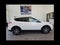 2017 Toyota RAV4 LE AWD