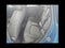 2024 MINI HARDTOP 4 DOOR Cooper S FWD