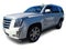 2020 Cadillac Escalade 4WD 4dr Premium Luxury