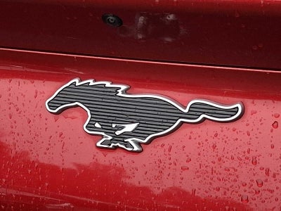 2022 Ford Mustang Mach-E California Route 1 AWD
