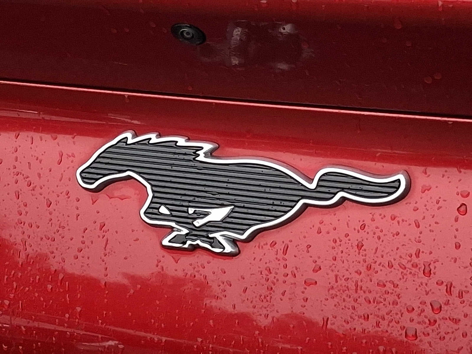 2022 Ford Mustang Mach-E California Route 1 AWD