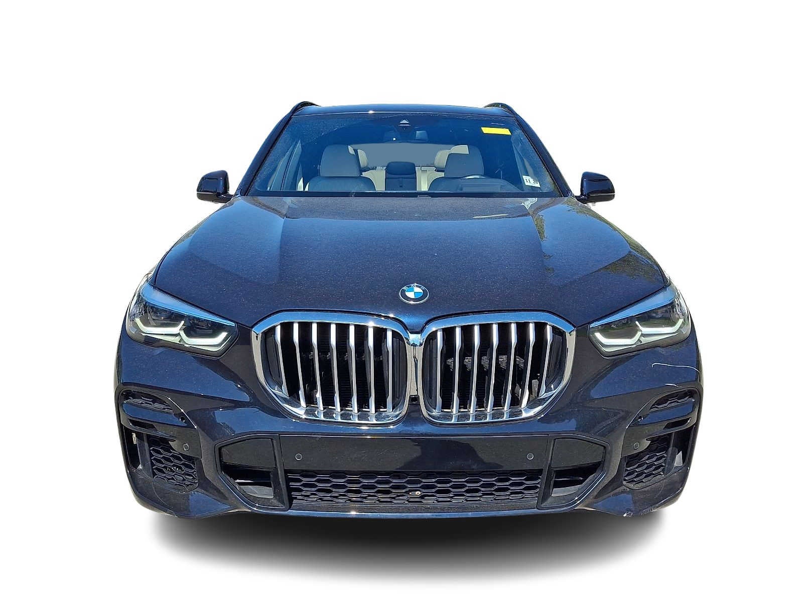 2022 BMW X5 xDrive40i Sports Activity Vehicle