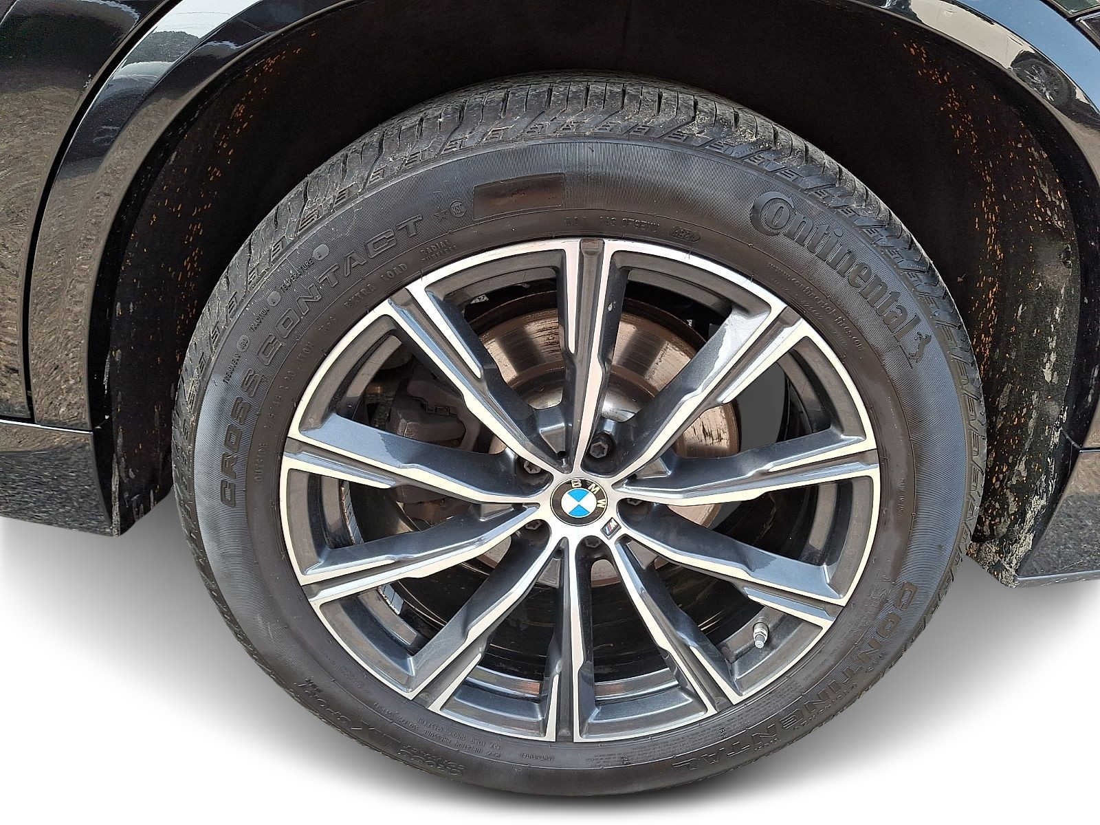 2023 BMW X5 xDrive40i Sports Activity Vehicle