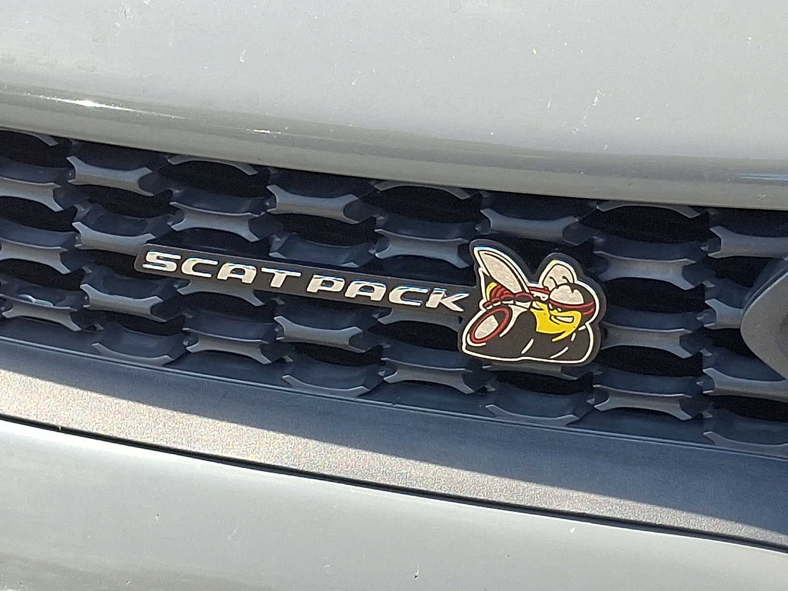 2019 Dodge Charger Scat Pack RWD