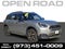 2025 MINI Countryman All4 Cooper S