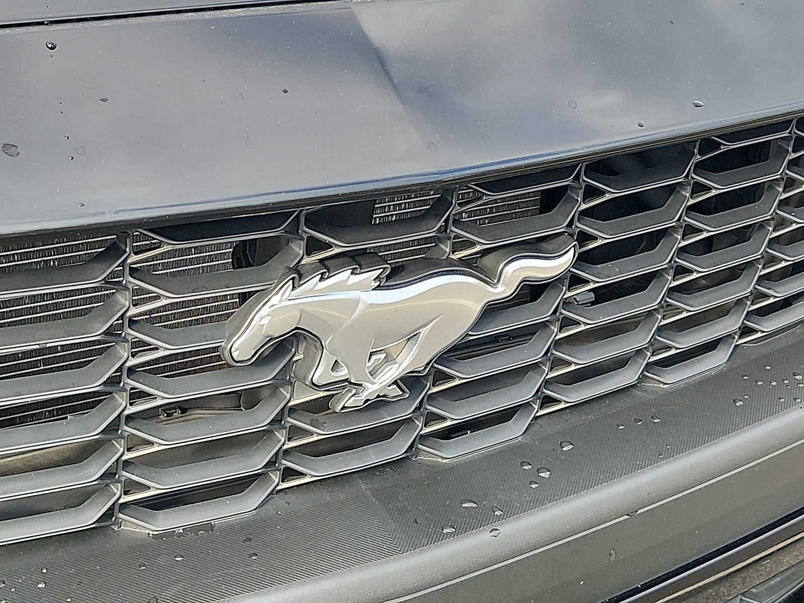 2024 Ford Mustang EcoBoost Fastback