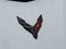 2024 Chevrolet Corvette 2dr Stingray Cpe w/1LT