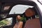 2019 Mercedes-Benz GLE AMG® GLE 43 4MATIC® Coupe
