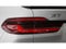 2027 BMW X7 xDrive40i Sports Activity Vehicle