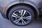 2024 BMW X7 xDrive40i Sports Activity Vehicle