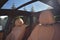 2024 BMW X5 xDrive40i Sports Activity Vehicle