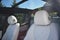 2025 BMW X5 xDrive40i Sports Activity Vehicle