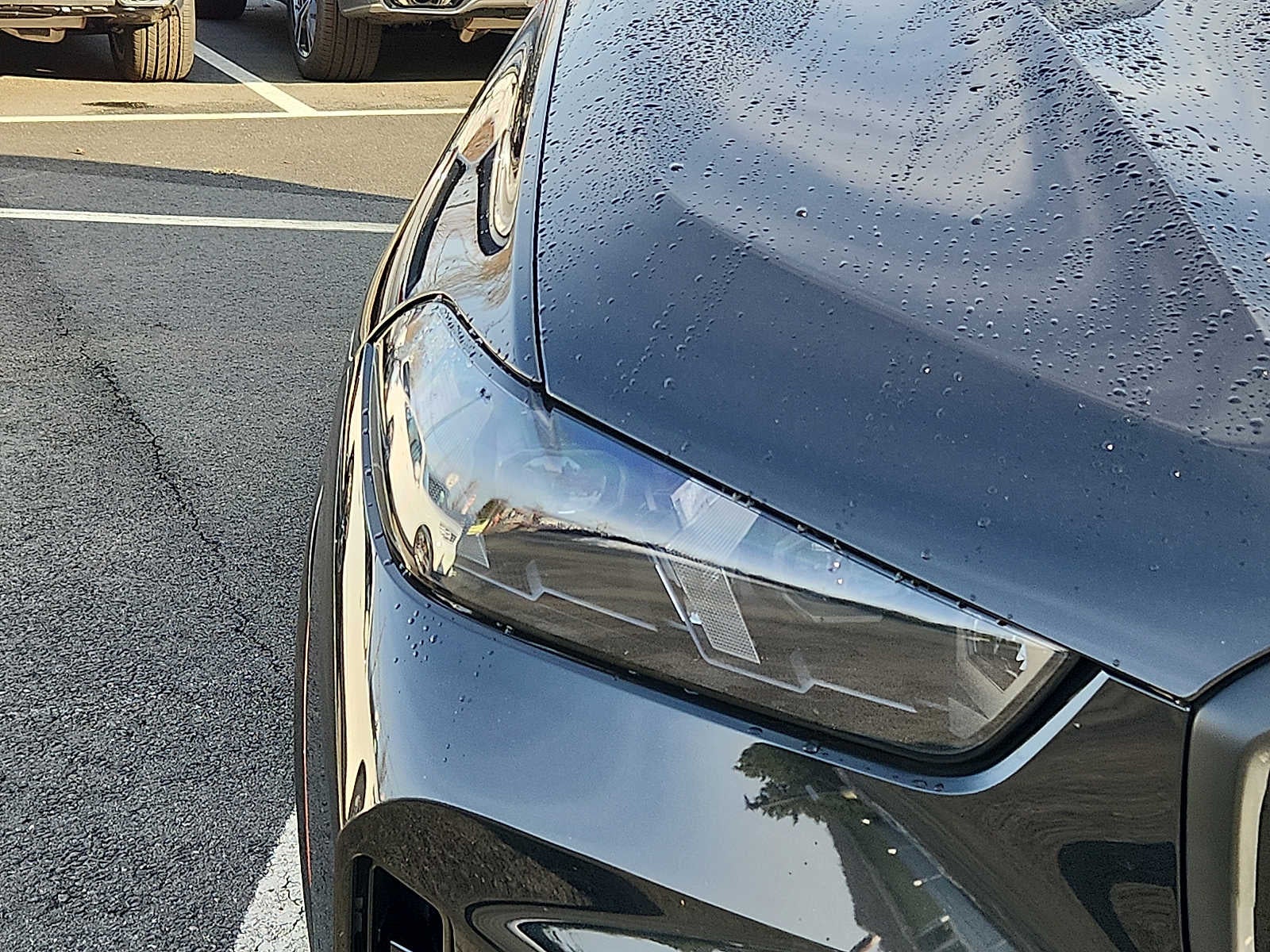 2024 BMW X5 xDrive40i Sports Activity Vehicle