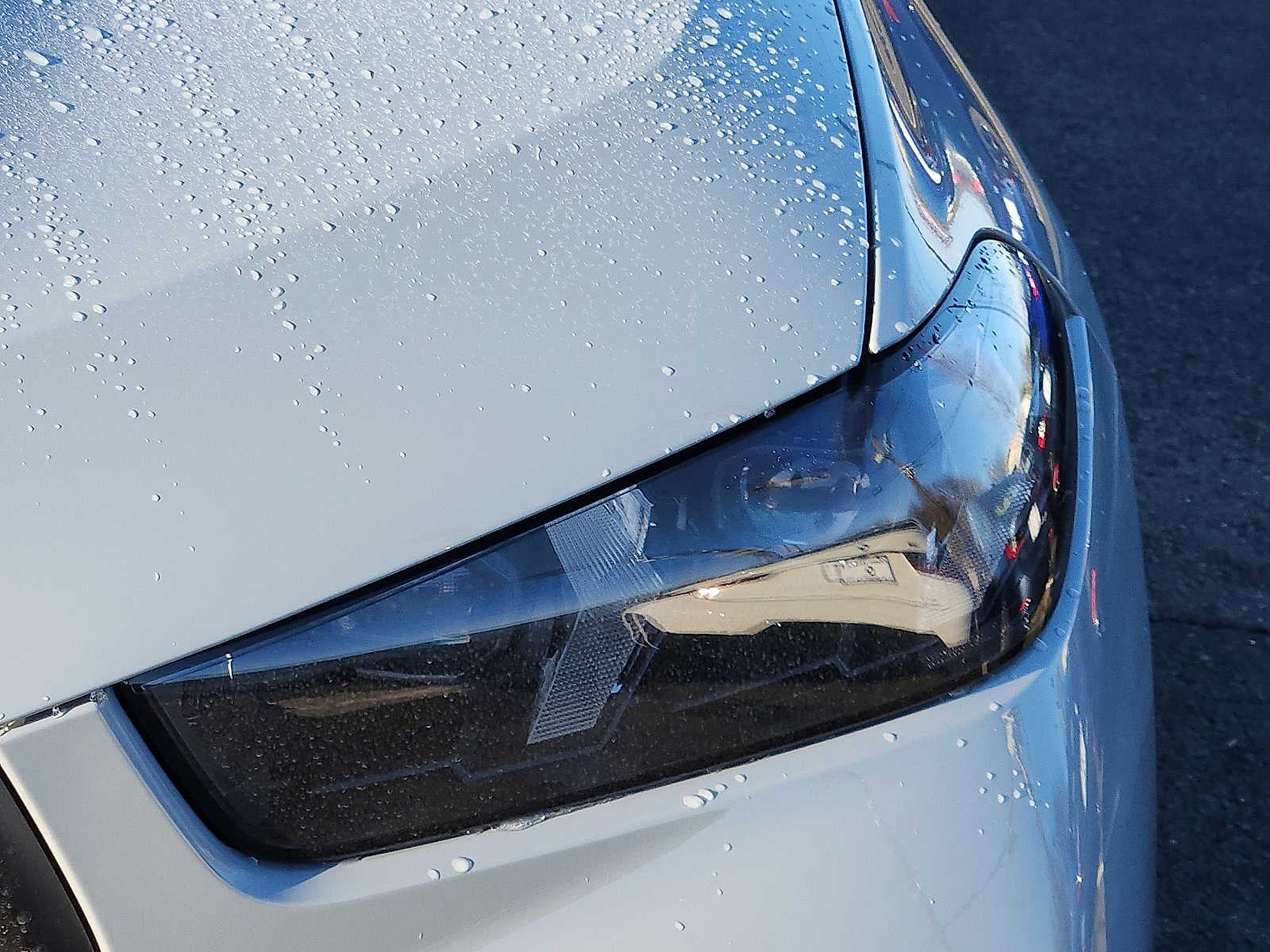 2026 BMW X6 xDrive40i Sports Activity Coupe