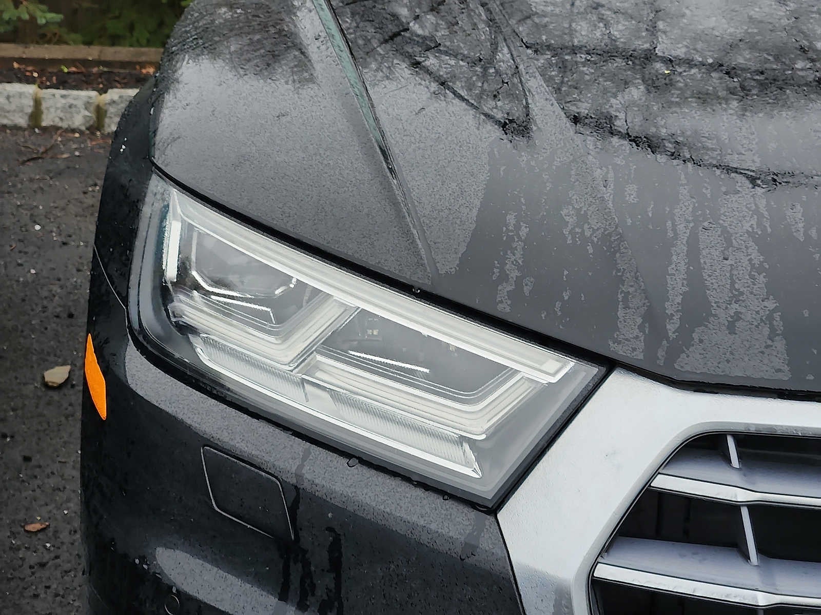 2019 Audi Q5 Premium Plus 45 TFSI quattro