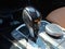 2024 BMW X3 xDrive30i Sports Activity Vehicle