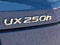 2024 Lexus UX UX 250h Premium AWD