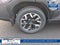 2025 Subaru Forester Base